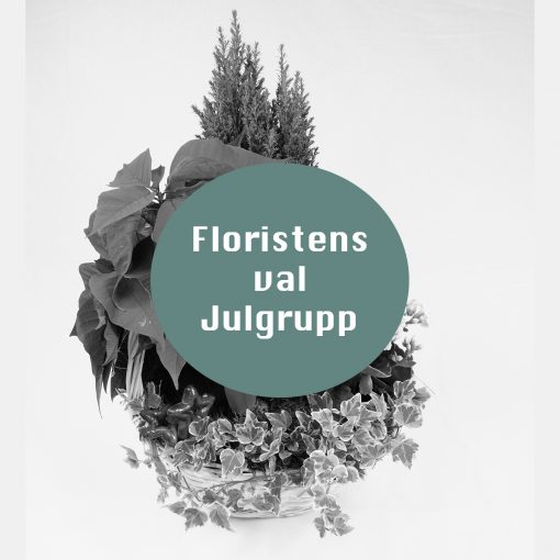 Floristens val - Julgrupp